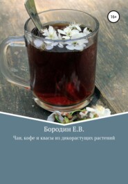 бесплатно читать книгу Чаи, кофе и квасы из дикорастущих растений автора Евгений Бородин