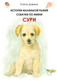 бесплатно читать книгу История маленькой рыжей собачки по имени Сури автора Елена Довжик