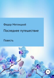 бесплатно читать книгу Последнее путешествие. Повесть автора Федор Метлицкий