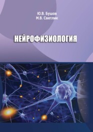 бесплатно читать книгу Нейрофизиология автора М. Светлик