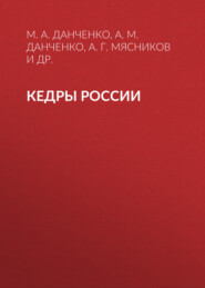 бесплатно читать книгу Кедры России автора Иосиф Бех