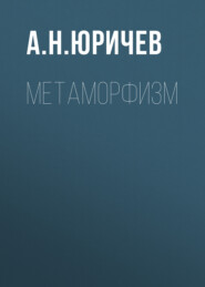 бесплатно читать книгу Метаморфизм автора Алексей Юричев