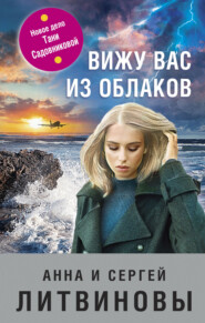 бесплатно читать книгу Вижу вас из облаков автора Анна и Сергей Литвиновы