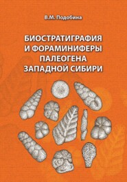 бесплатно читать книгу Биостратиграфия и фораминиферы палеогена Западной Сибири автора Вера Подобина