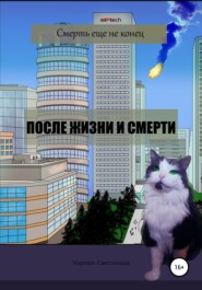 бесплатно читать книгу После жизни и смерти автора  Марина Светлоокая