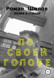 бесплатно читать книгу По своей голове автора Роман Шилов