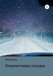 бесплатно читать книгу Опрометчивая поездка автора Анна Кисс