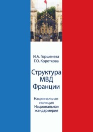 бесплатно читать книгу Структура МВД Франции. Национальная полиция и Национальная жандармерия. Схемы и комментарии автора Галина Короткова