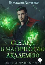 бесплатно читать книгу Ссылка в Магическую Академию автора Анастасия Зинченко