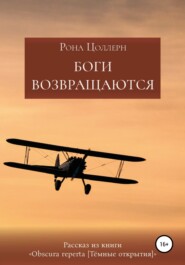 бесплатно читать книгу Боги возвращаются автора  Рона Цоллерн