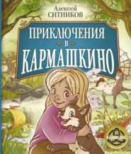 бесплатно читать книгу Приключения в Кармашкино автора Алексей Ситников