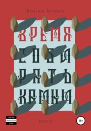 бесплатно читать книгу Время собирать камни автора Вячеслав Борняков