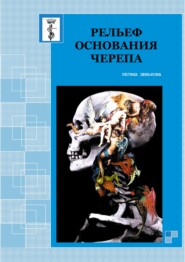 бесплатно читать книгу Рельеф основания черепа автора Регина Люнькова