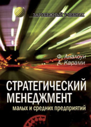бесплатно читать книгу Стратегический менеджмент малых и средних предприятий автора Карами Аждар