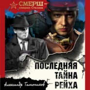 бесплатно читать книгу Последняя тайна рейха автора Александр Тамоников
