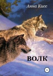 бесплатно читать книгу Волк автора Анна Кисс