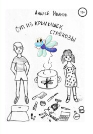 бесплатно читать книгу Суп из крылышек стрекозы автора Андрей Иванов