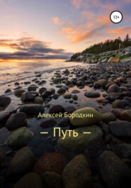 бесплатно читать книгу Путь автора Алексей Бородкин