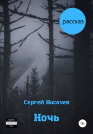 бесплатно читать книгу Ночь автора Сергей Носачев