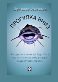 бесплатно читать книгу Прогулка вниз автора Ярослав Астахов