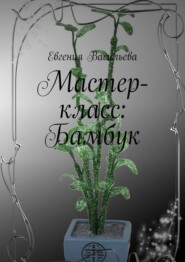 бесплатно читать книгу Мастер-класс: бамбук автора Евгения Васильева