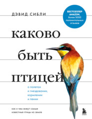 бесплатно читать книгу Каково быть птицей: о полетах и гнездовании, кормлении и пении. Как и чем живут самые известные птицы на земле автора Дэвид Аллен Сибли