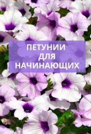 бесплатно читать книгу Петунии для начинающих автора Анна Белякова