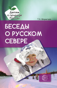 бесплатно читать книгу Беседы о русском Севере. Методические рекомендации автора Татьяна Шорыгина