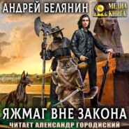 бесплатно читать книгу Яжмаг вне закона автора Андрей Белянин