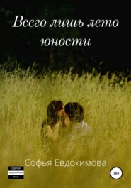 бесплатно читать книгу Всего лишь лето юности автора Софья Евдокимова
