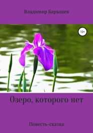 бесплатно читать книгу Озеро, которого нет автора Владимир Барышев
