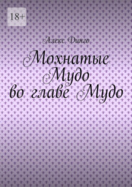 бесплатно читать книгу Мохнатые Мудо во главе Мудо автора Алекс Динго