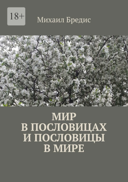 бесплатно читать книгу Мир в пословицах и пословицы в мире автора Михаил Бредис