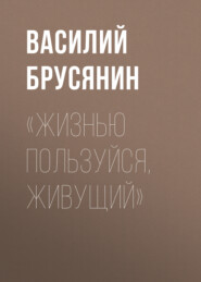 бесплатно читать книгу «Жизнью пользуйся, живущий» автора Василий Брусянин