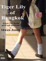 бесплатно читать книгу Tiger Lily Of Bangkok автора Owen Jones