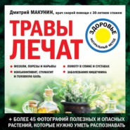 бесплатно читать книгу Травы лечат автора Дмитрий Макунин