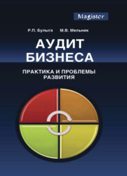 бесплатно читать книгу Аудит бизнеса. Практика и проблемы развития автора Литагент Юниди-Дана