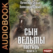 бесплатно читать книгу Пастырь автора Вячеслав Седых