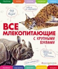 бесплатно читать книгу Все млекопитающие с крупными буквами автора Елена Ананьева