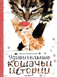 бесплатно читать книгу Удивительные кошачьи истории автора Михаил Вирозуб