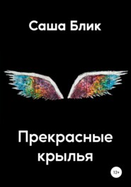 бесплатно читать книгу Прекрасные крылья автора  Саша Блик