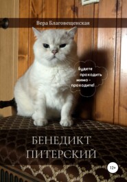 бесплатно читать книгу Бенедикт Питерский автора Вера Благовещенская