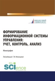 бесплатно читать книгу Формирование информационной системы управления. Учет, контроль, анализ. (Аспирантура, Бакалавриат, Магистратура). Монография. автора Татьяна Мезенцева