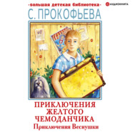 бесплатно читать книгу Приключения Веснушки автора Софья Прокофьева