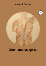 бесплатно читать книгу Жить или умереть автора Алексей Пичуев