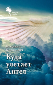 бесплатно читать книгу Куда улетает Ангел автора Владимир Гаврилович