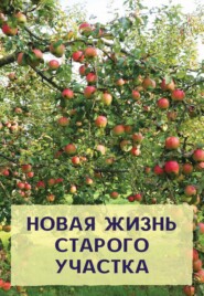 бесплатно читать книгу Новая жизнь старого участка автора Николай Хромов