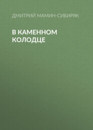 бесплатно читать книгу В каменном колодце автора Дмитрий Мамин-Сибиряк