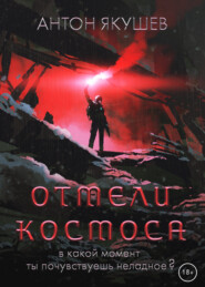 бесплатно читать книгу Отмели космоса автора Антон Якушев