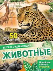 бесплатно читать книгу Животные автора Энн МакРей